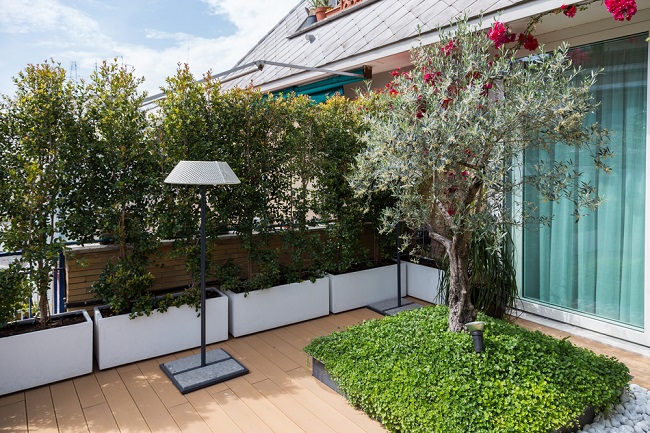 Maak een Toscaans terras met je olijfboom