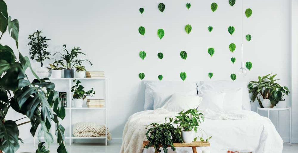 Groene planten in de slaapkamer: een must-have
