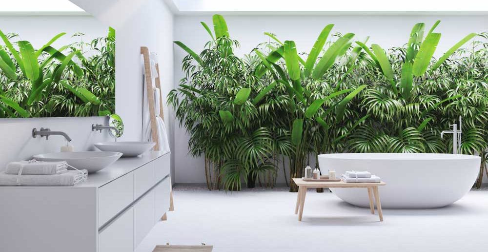 Mooi: planten in de badkamer