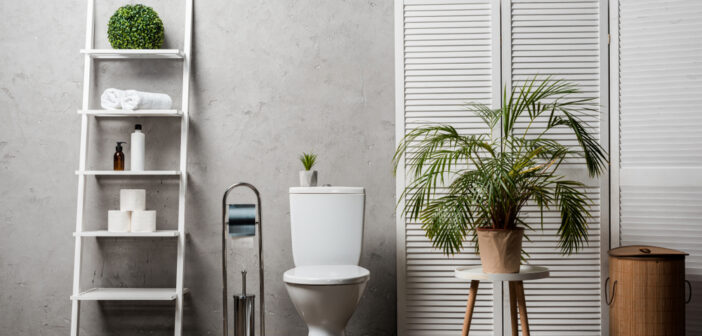 Planten op het toilet: zo houd je ze in leven